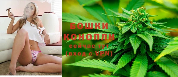 первитин Заводоуковск