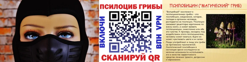 Галлюциногенные грибы Cubensis  Купить где  Миньяр 